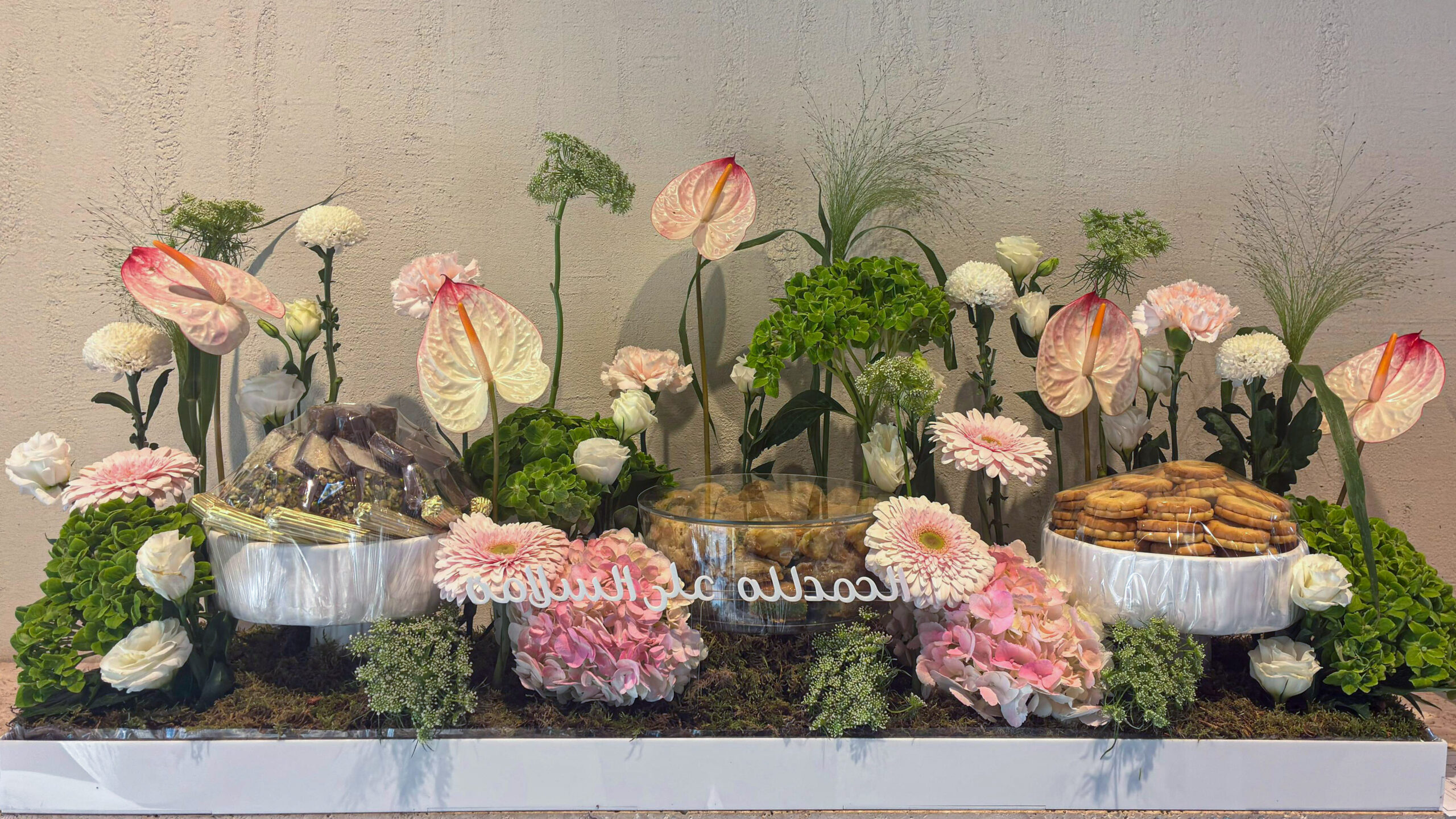 WhatsApp Image 2025-10-01 at 16.38.34_14cb7c8a